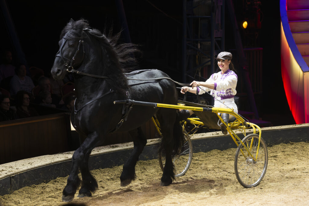 FG 16-11-2025 OBRAJON 0626