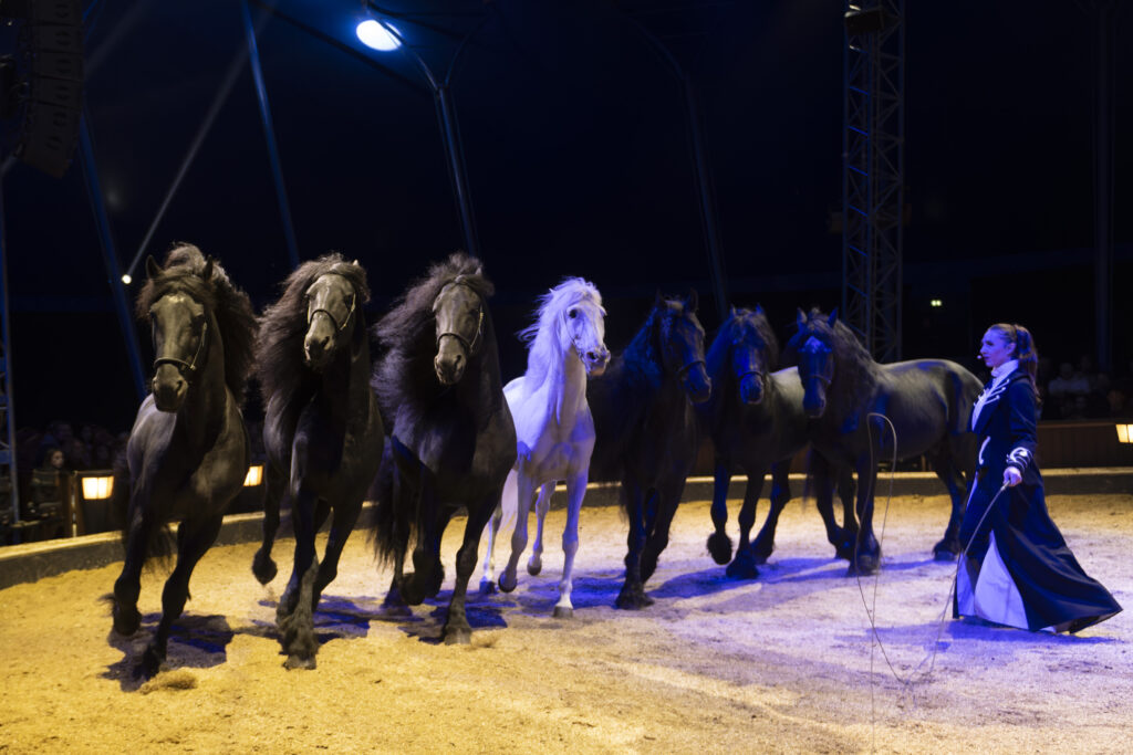 FG 23-10-2025 OBRAJON 0122