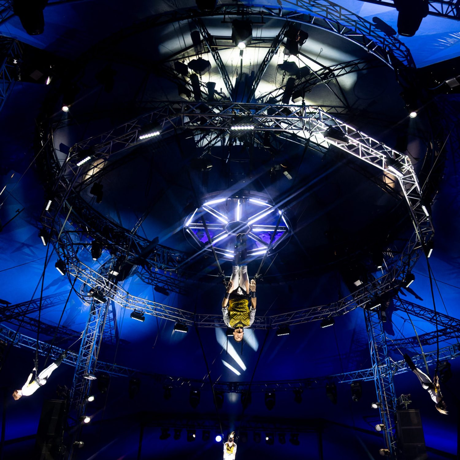 Bungee_OB_01.03