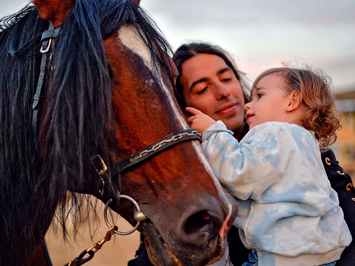 NOS CHEVAUX