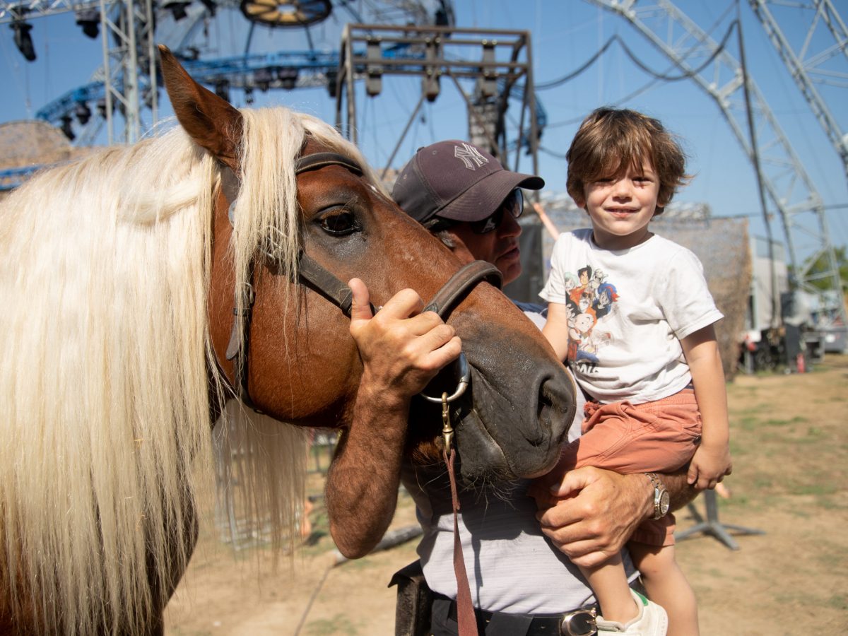NOS CHEVAUX