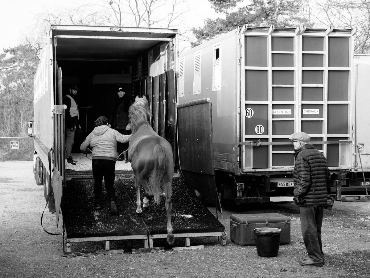 NOS CHEVAUX