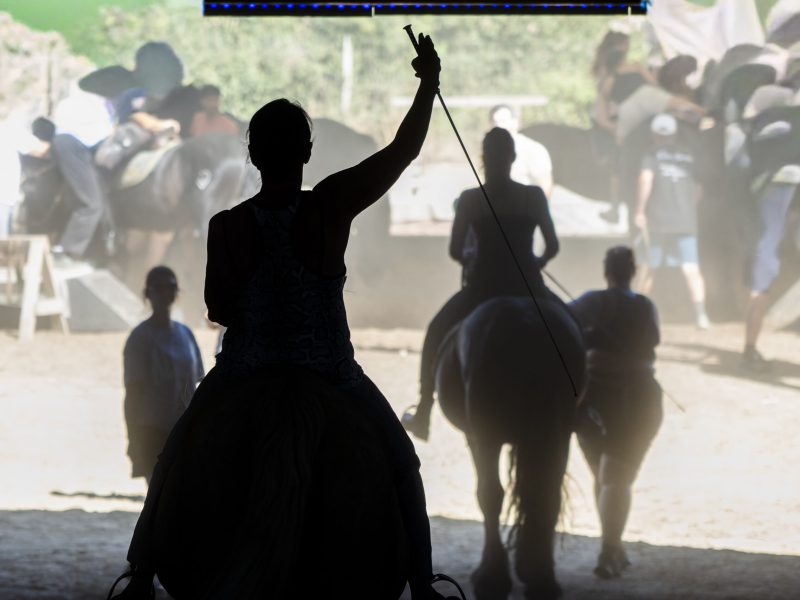 Répétitions publiques aux Folies Gruss à Béziers - Compagnie Alexis Gruss - visitez les écuries