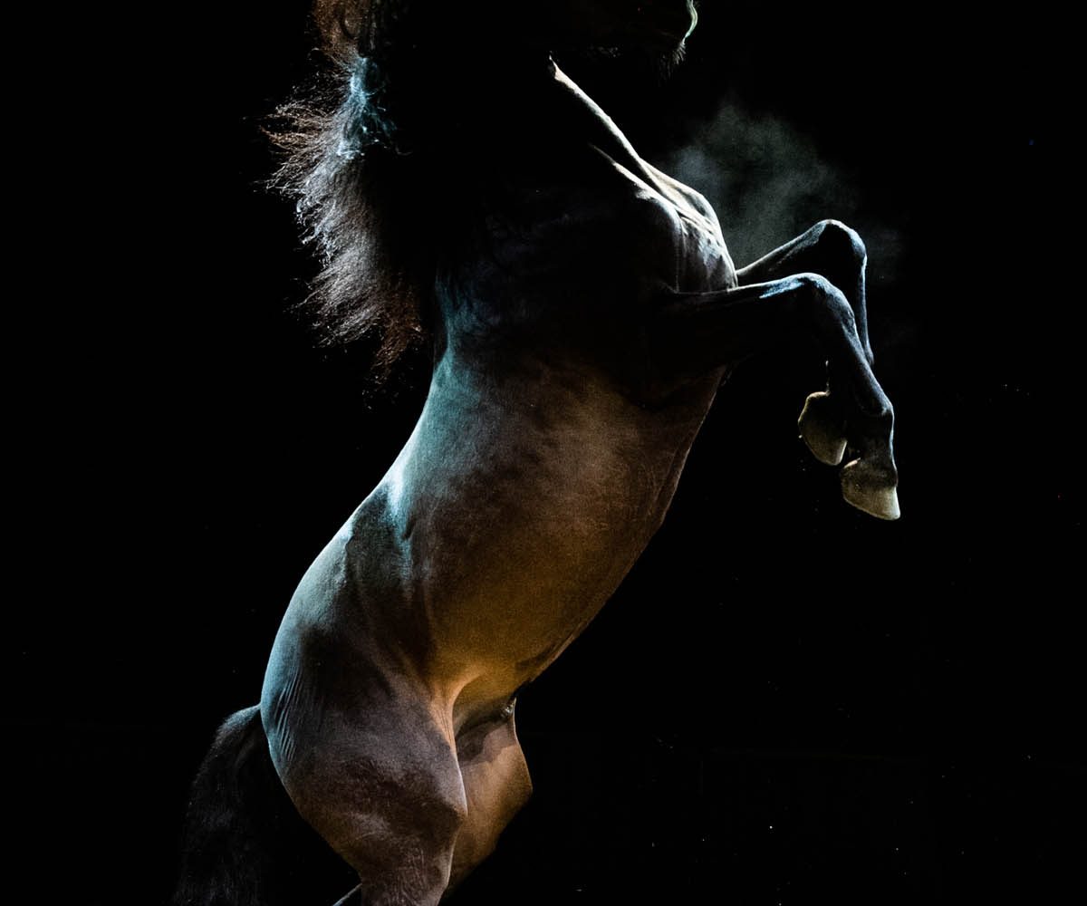 LES FOLIES GRUSS 
ZAFRA
Photo :  Olivier Brajon
