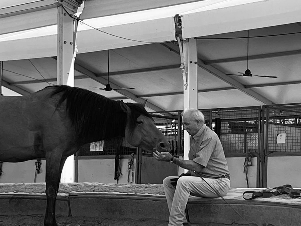 NOS CHEVAUX