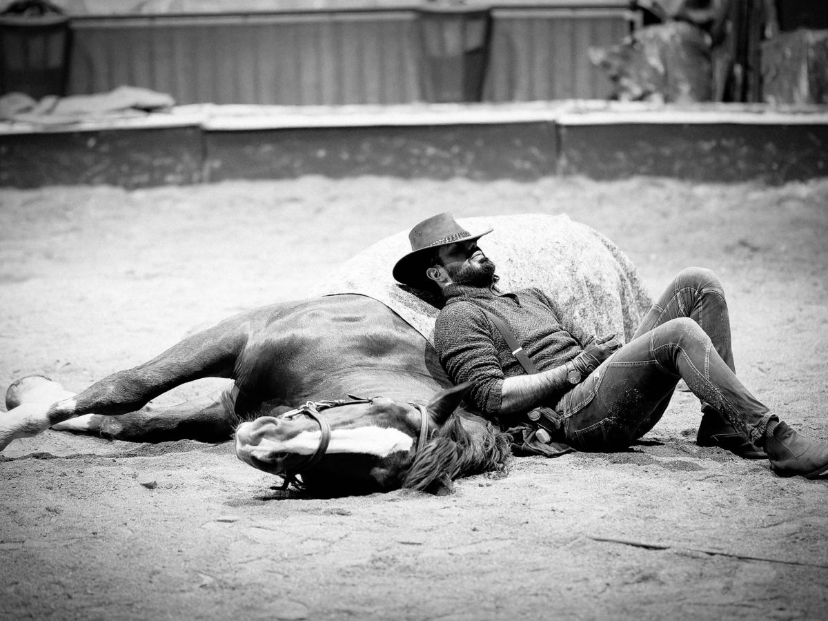 NOS CHEVAUX